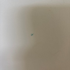 【値下げ中】Caraz プレイマットの画像