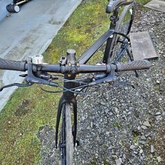 GIANT Escape RX  Disc サイズ465の画像