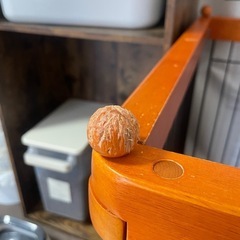 犬用ゲージ の画像