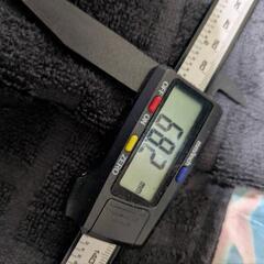 グラントシロカブト♂の画像