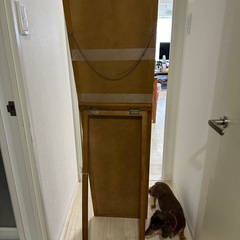 姿見　鏡
の画像