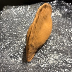 餃子の画像