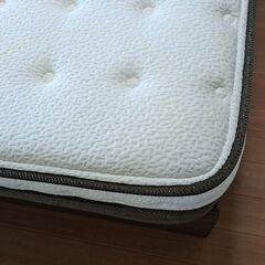 東京発　手渡し希望　中古　セミダブルベッド　ニトリ　Nスリープハードの画像