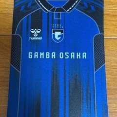 南野遥海選手 ガンバ大阪　ポーチ　配布　非売品　ロートスキンアクアポーチの画像