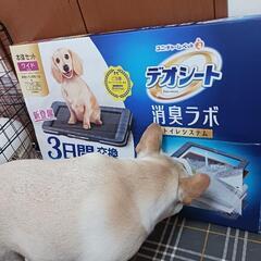 犬トイレ　新品　ユニチャーム デオシート 消臭ラボ ワイド　本体セットの画像