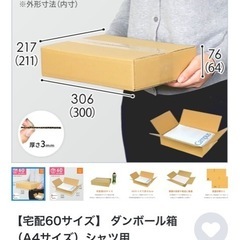 新品20枚　
ダンボールワン　K-A4 60 の画像