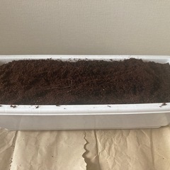 プランターセットの画像