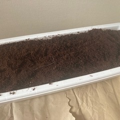 プランターセットの画像