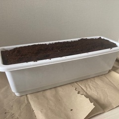 プランターセットの画像