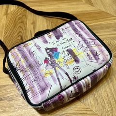 バッグとしても使える保冷バッグの画像
