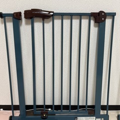 ベビー
の画像