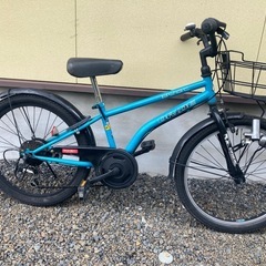 ドライドマウンテンバイクの画像