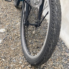 ドライドマウンテンバイクの画像
