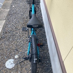 ドライドマウンテンバイクの画像