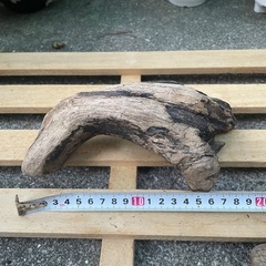 流木 アクアリウム No.2の画像