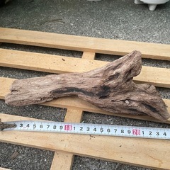 流木 アクアリウム No.4の画像