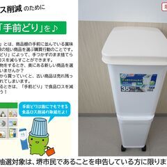 【堺市民限定】(2507-38) スリム2段ダストボックスの画像