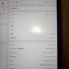 ②【おまけ付き】iPad Pro Wi-Fi＋Cellular 12.9インチの画像