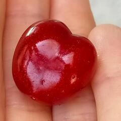 甘だるしいさくらんぼ🍒✨　甘さトップクラスのさくらんぼぅ　果樹苗　美味しい果樹苗の画像