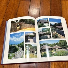 沖縄県風土記(本)
の画像