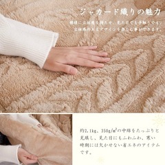 【取引中】こたつ布団　ブランド名『Vamcheer』 の画像