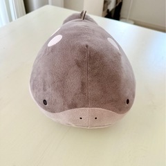 ポケモン『ドオー』　ぬいぐるみの画像