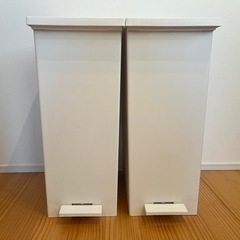 KEYUCA ダストボックスLL（45L） 2個　の画像
