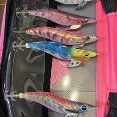 釣りエギング　セットの画像