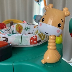 ゆかいなレインボーフォレストジャンパルーの画像