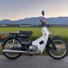 人気⭐︎スーパーカブ50 STD 3速　C50 の画像