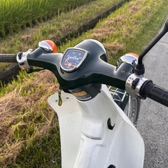 人気⭐︎スーパーカブ50 STD 3速　C50 の画像