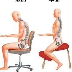 rybo社　バランスチェアイージー 通販生活　純正カバー付きの画像
