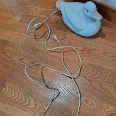 アヒルのフットライトの画像