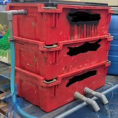 コンテナ 自作濾過槽等にの画像