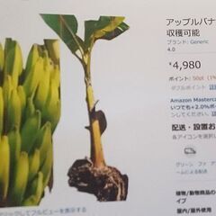 バナナの画像