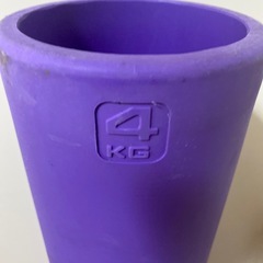 ViPR バイパーミドル パーソナルトレーニングの画像