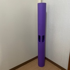 ViPR バイパーミドル パーソナルトレーニングの画像