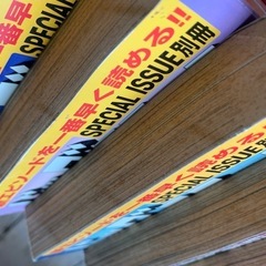 🟤漫画『ゴルゴ13』　別冊ビックコミック版　まとめて　の画像