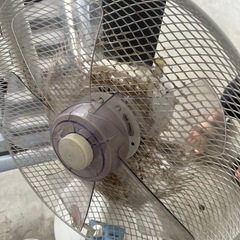 扇風機　傘　まとめての画像