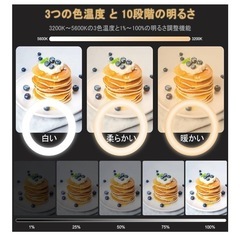 リングライトアーム式 26cm 俯瞰撮影用ライトの画像