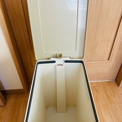 ゴミ箱　　30リットル　　ペダル式の画像