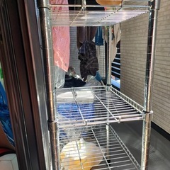 ラックの画像