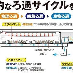 【新品未開封】デュアルクリーン600 DC-600の画像