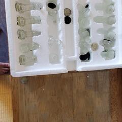 チェスの画像