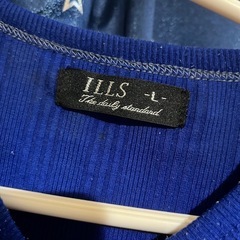 メンズTシャツ Lの画像
