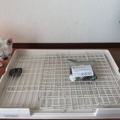 アイリスオーヤマ ルームケージ RKG-900L ミルキーブラウン [犬用ゲージ]の画像
