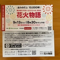 熊本　荒尾市　 グリーンランド　入場券　ペアチケットの画像