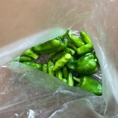 夏野菜の画像