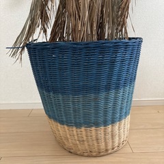 植木、植木鉢の画像