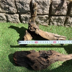 ①流木2個セット　熱帯魚などにの画像
